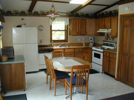 minnesota cabin - kitchen
