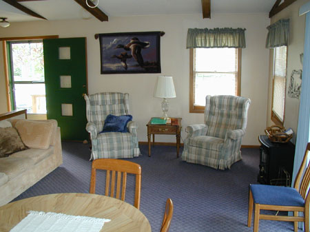 minnesota cabin living room