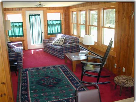 minnesota cabin living room