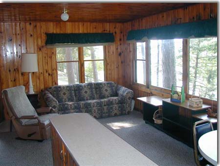 minnesota cottage living room