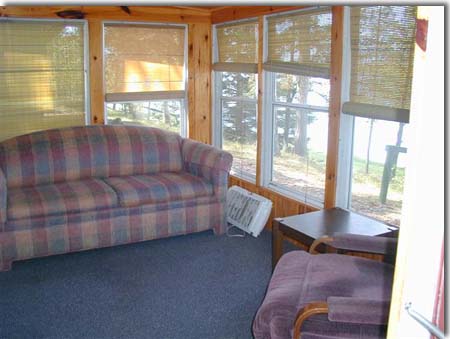minnesota cabin living room
