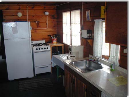minnesota cabin kitchen