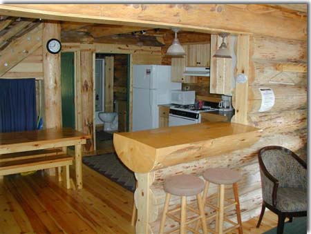 minnesota cabin kitchen