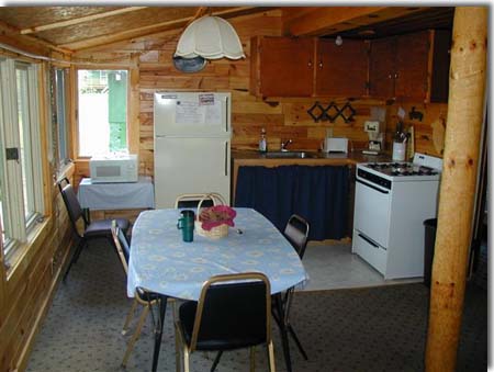 minnesota cabin kitchen