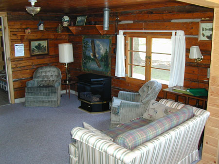 minnesota cabin living room