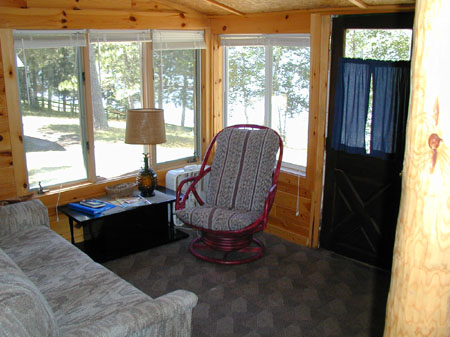 minnesota cabin living room